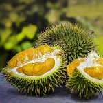 owoc na d durian